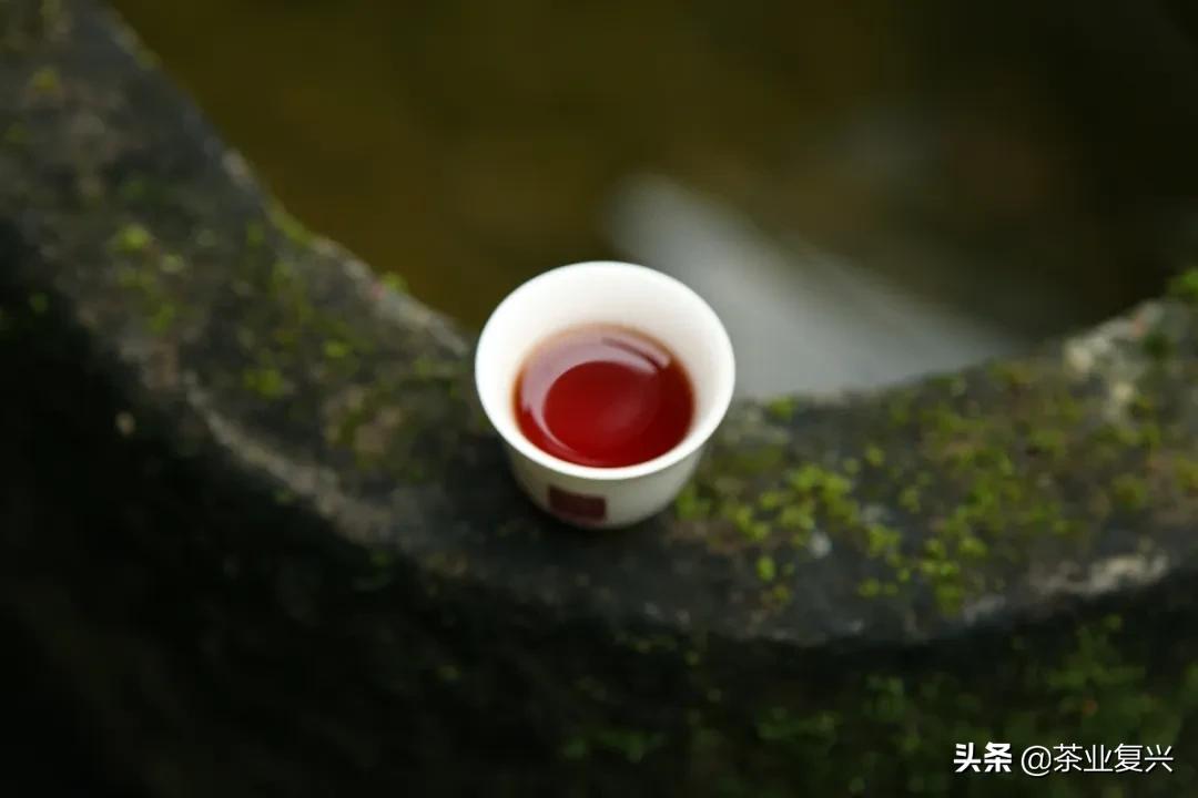 熟茶知识,熟茶的基本知识及讲解
