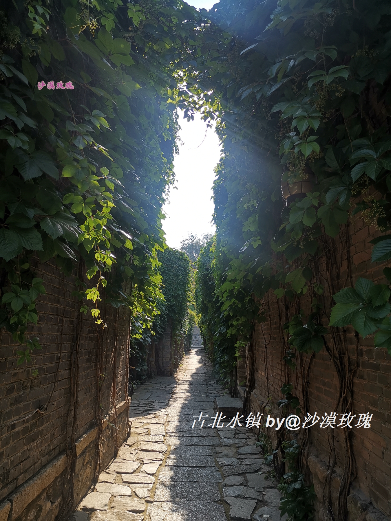 去古北水镇一日游攻略,古北水镇一日游攻略住宿