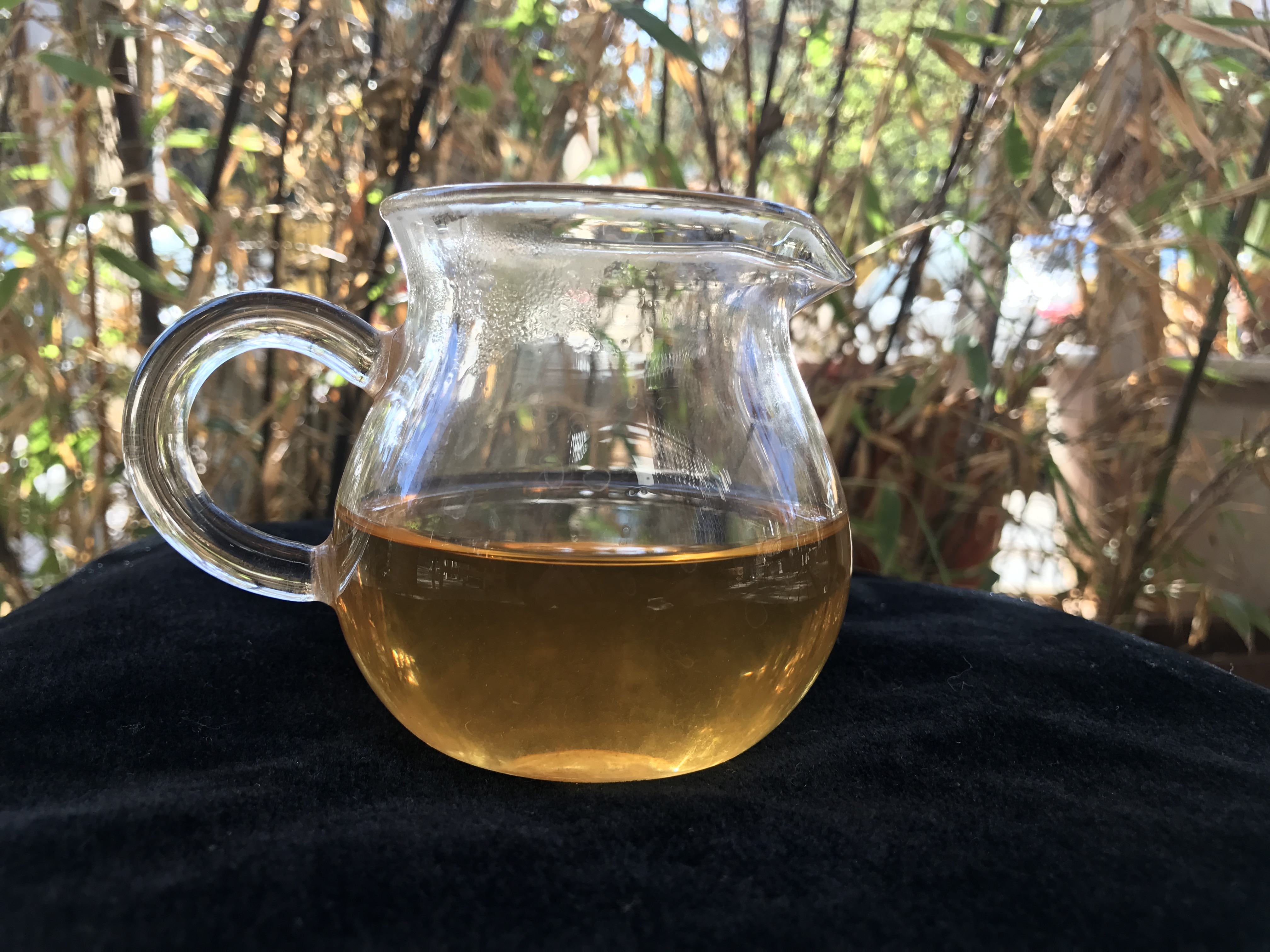 老徐鉴茶第二十一期,老徐鉴茶316期视频