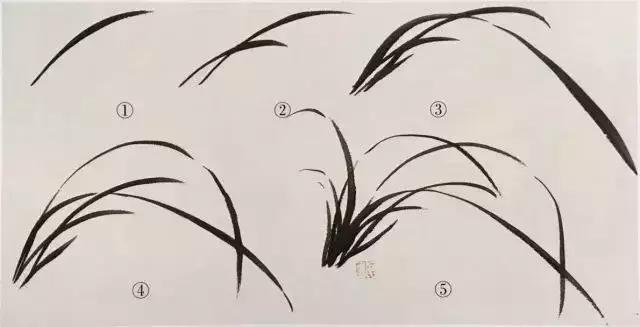 如何画兰花最好看的,君子兰花如何画