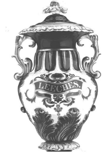 水蛭吸血可治病?结果几百年前的西方人因此导致梅毒的交叉感染