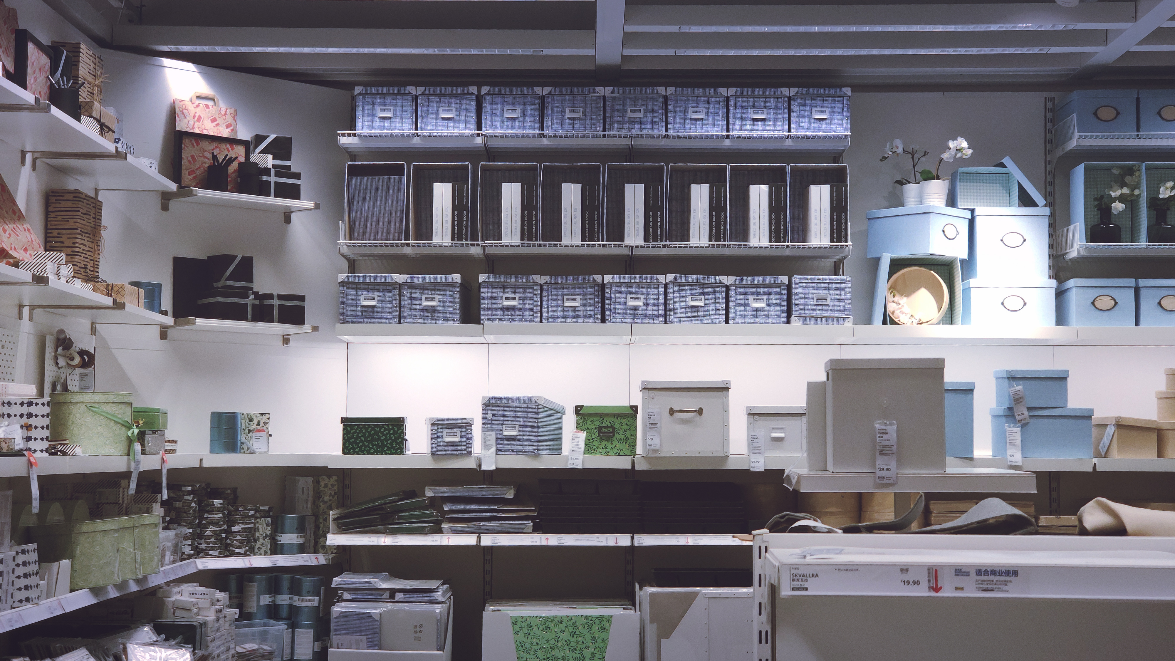 郑州宜家有什么值得购买的东西 (郑州宜家现在值得买吗)