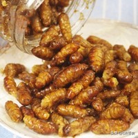 食蚕蛹过敏怎么处理,吃蚕蛹过敏反应是什么表现