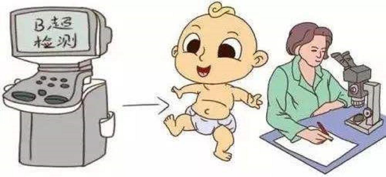 nt检查过后怎么知道胎儿的状况,nt筛查异常怎么办