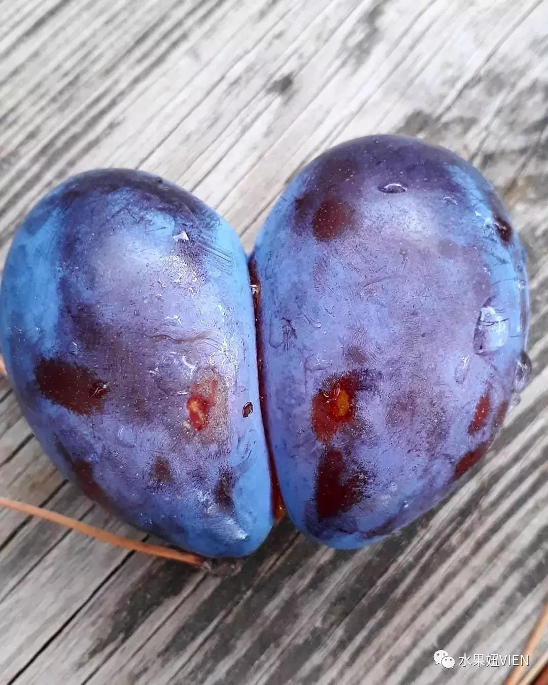 西梅是外国的李子吗图片,意大利的李子和西梅的区别