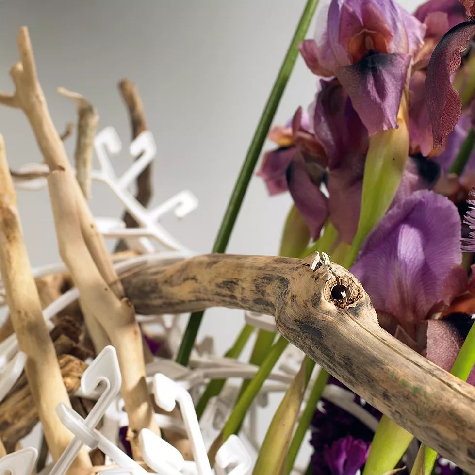 全球花艺播报最新战况,花艺发展趋势