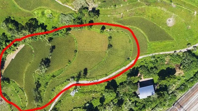 鍏泭璇夎瀹堟姢缇庡ソ鐢熸椿涓撻」鐩戠潱,瀹堟姢缇庝附瀹跺洯鍏泭璇夎