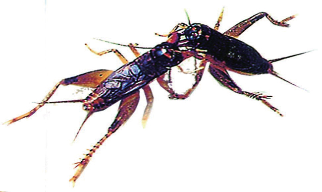 乡村记忆成武,乡村记忆之沂源县赵庄