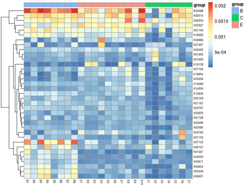 肠道菌群宏基因组,肠道微生物宏基因组检测有必要吗