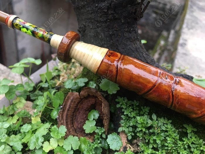 罗汉竹竿,罗汉竹和什么搭配好看