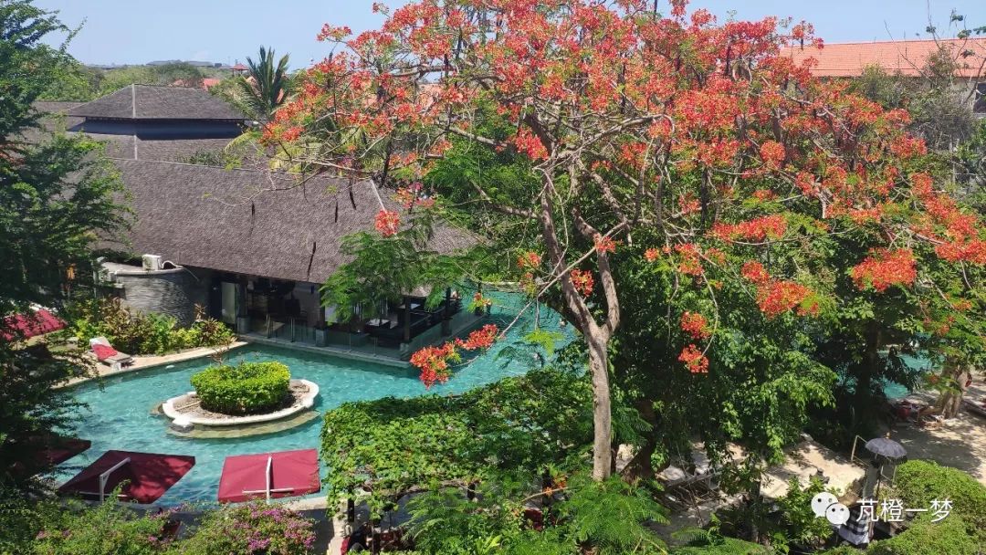 郑州出发巴厘岛旅游省钱,巴厘岛旅游最省钱方法