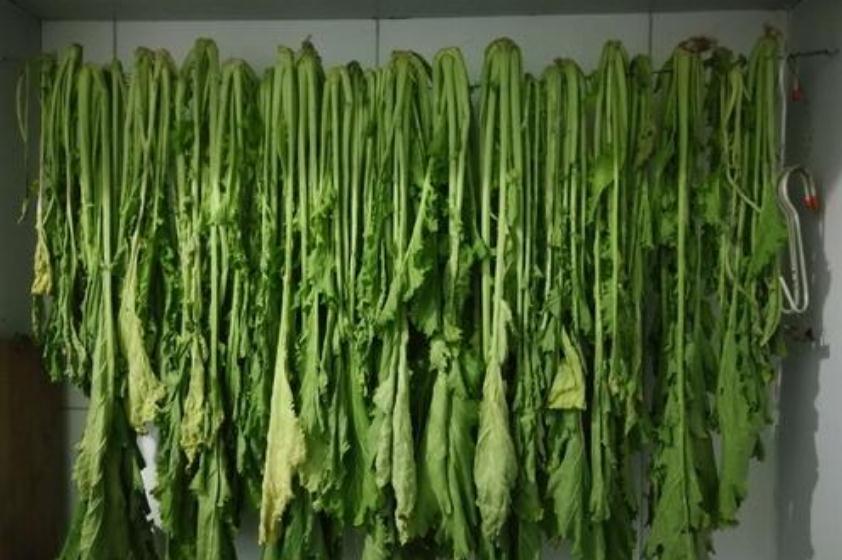 雪里蕻为啥老,为什么腌雪里蕻很臭