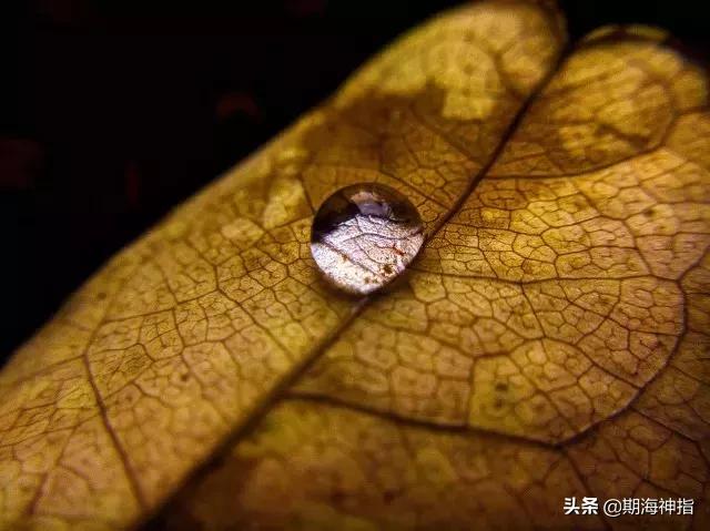 二十年炒股老手的经验总结,期货大鳄的交易技巧