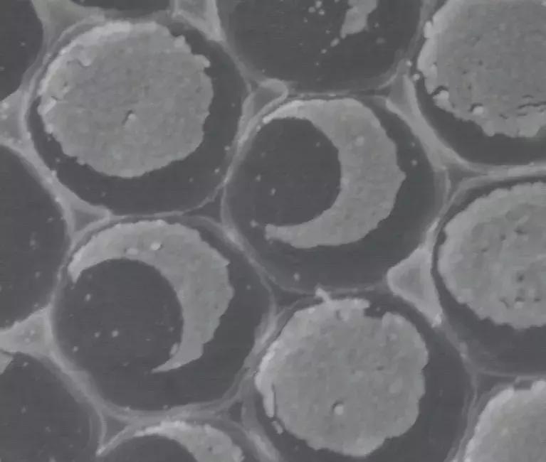 终局之战！！“光影化境”悦昌行杯摄影大赛复赛等你投票~