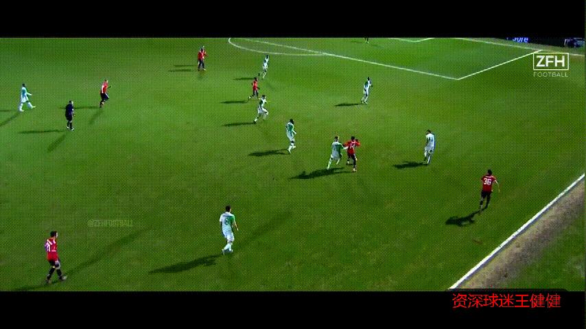 不要在埋汰林加德了，看我怎么把他洗白