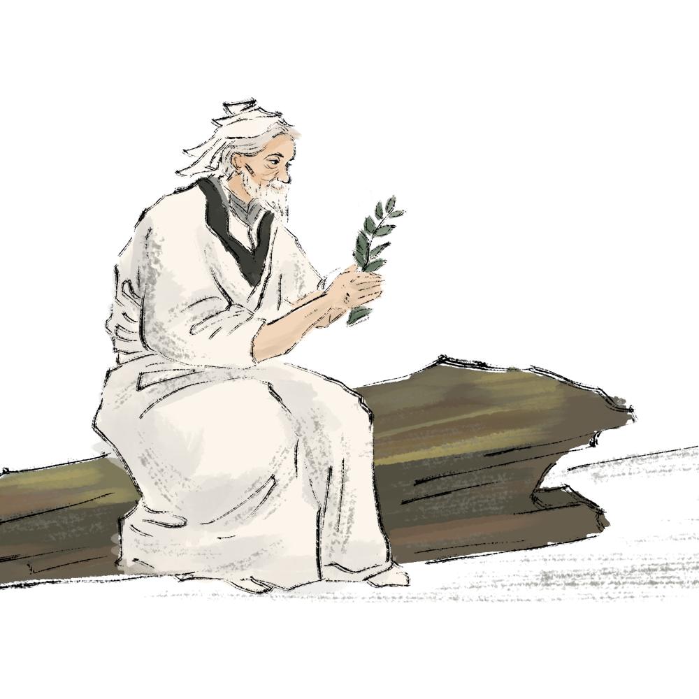 关节磨损护骨方法,预防骨关节磨损