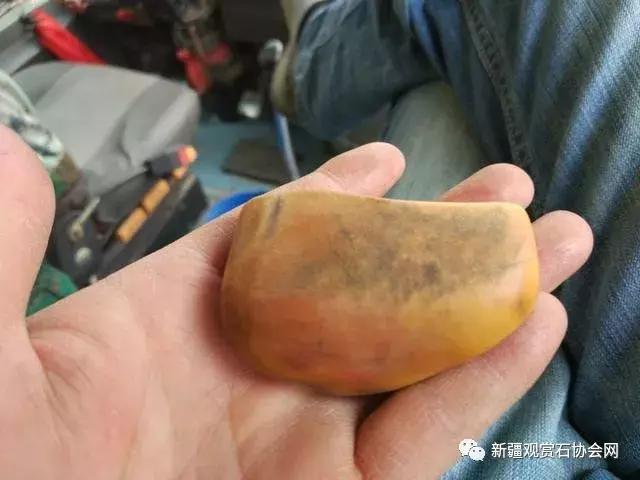 戈壁滩捡玉怎么分辨玉和石头,金丝玉三剑客戈壁滩捡金丝玉