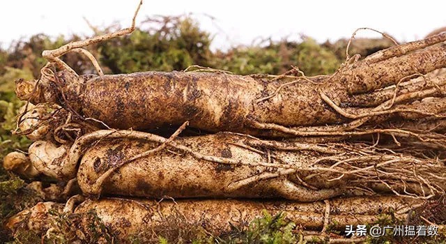 99%的长春人都没吃过的美食,99%的人没吃过的美味