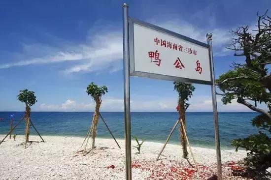 城市印象小区好不好,城市印象海安