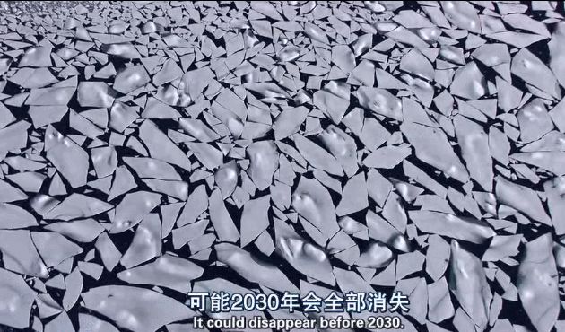 BBC最棒8部纪录片，强烈推荐孩子暑假看