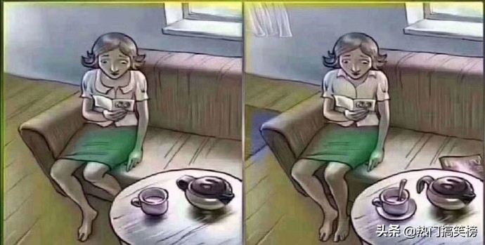 仓鼠和猫打架花了2000,和猫打架住院的仓鼠