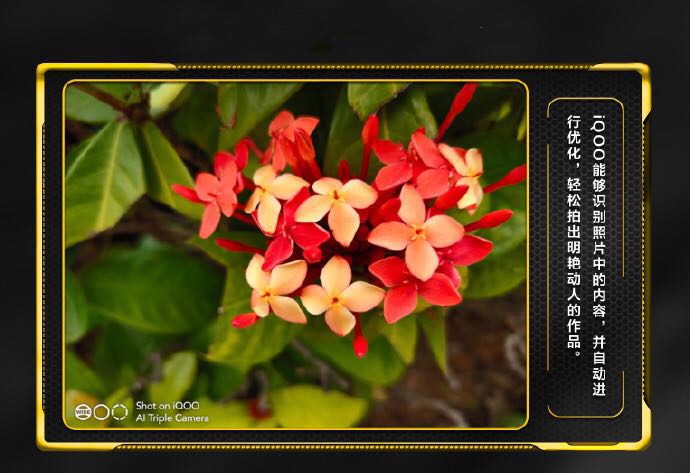 看图说话拍照,手机怎么拍照好看iqoo