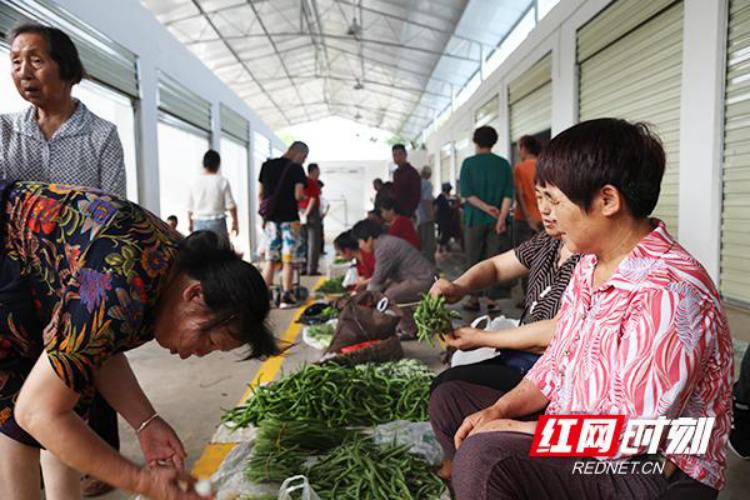 非常之举，株洲这一“加减法”走在全省前列