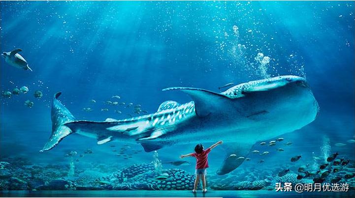 广东珠海长隆海洋王国门票多少钱,广东珠海长隆门票多少钱