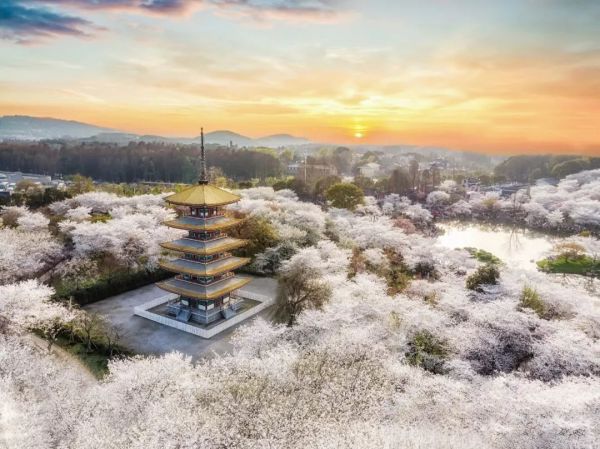 什么是武汉星球研究所,什么是武汉