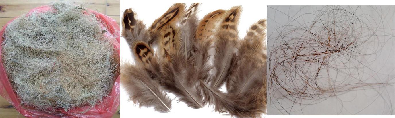 高效饲料添加剂：用猪毛、鸡毛、人毛、A3分解醇制作快速育肥技术