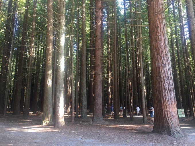 让你不用出门欣赏到美丽的风景,让你不出门你会待几天