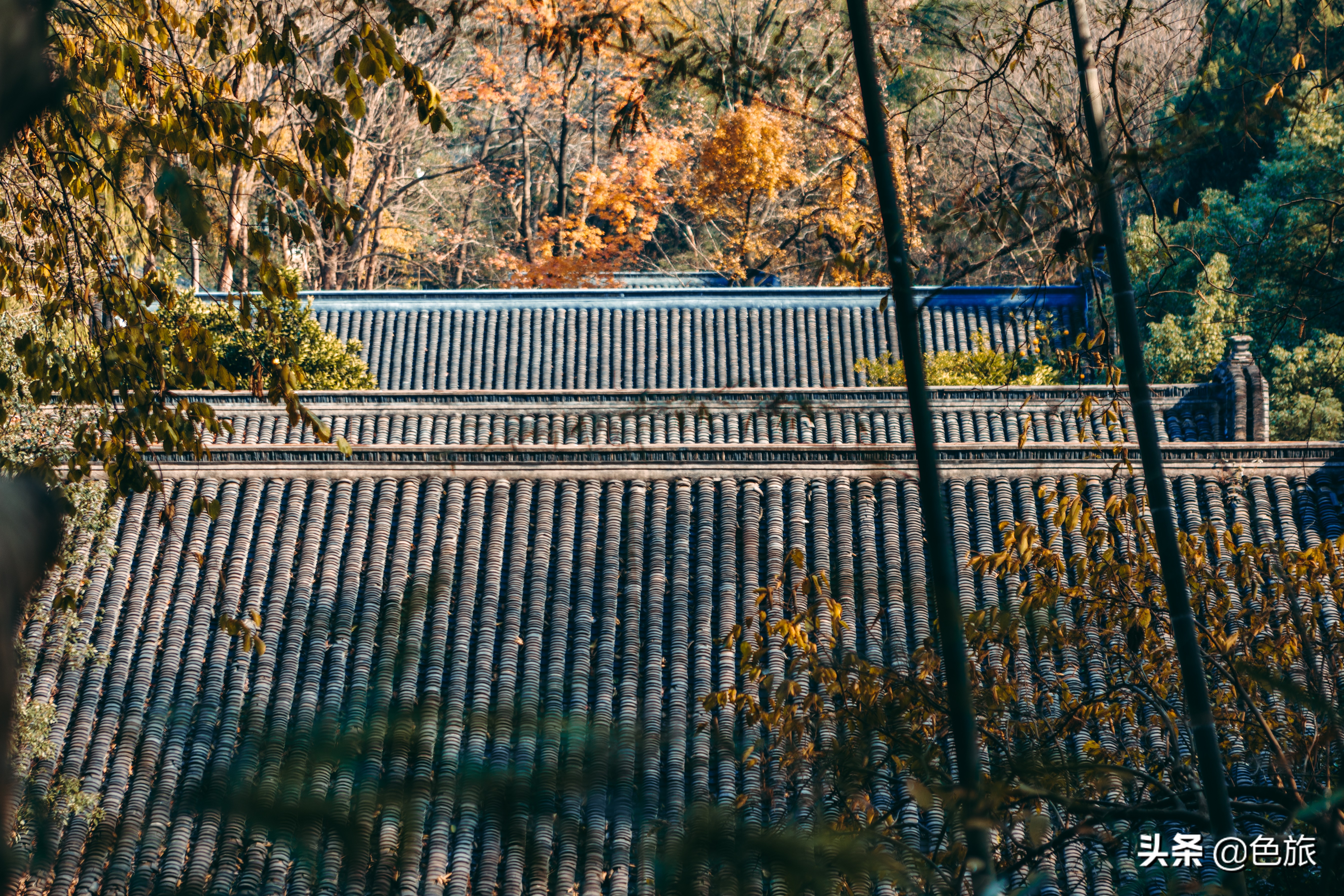 逆水寒游历虎跑梦泉怎么出葫芦,杭州游玩虎跑泉
