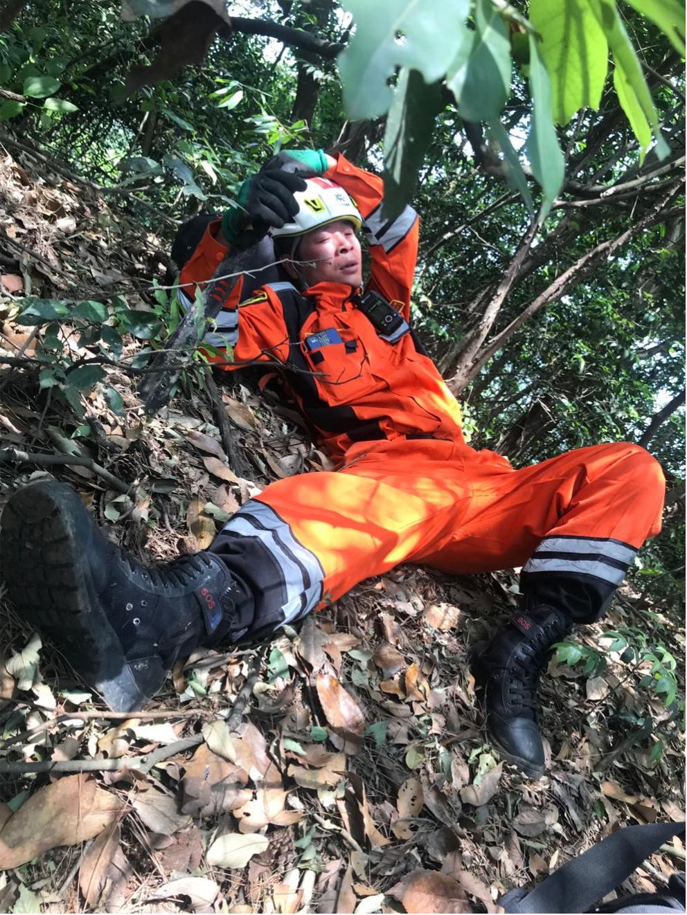 杭州金钱豹出逃最后一只找到了没,杭州金钱豹出逃最新视频