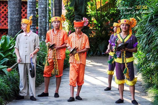 在西双版纳，做了一回“猫哆哩”