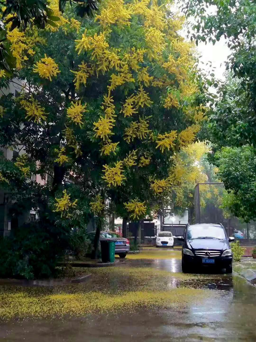 绉嬫棩绗旇鐩存挱,绉嬫棩绗旇