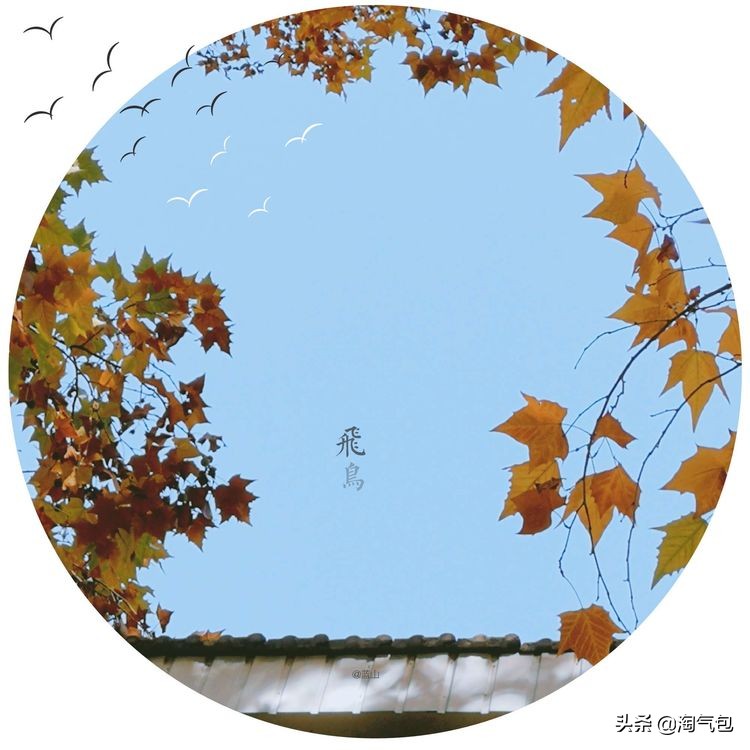 秋分愿生活恰如其分,人生恰如秋分生活恰如其分