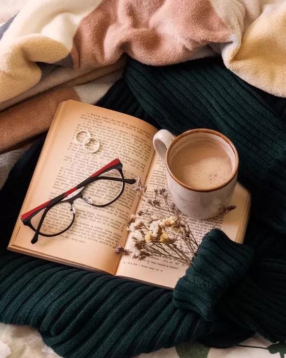 她用这种高颜值的干花装饰家里，隔壁邻居都惊叹不已