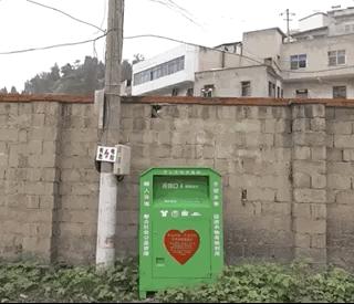 交易猫被央视曝光,收养流浪狗的真实记录