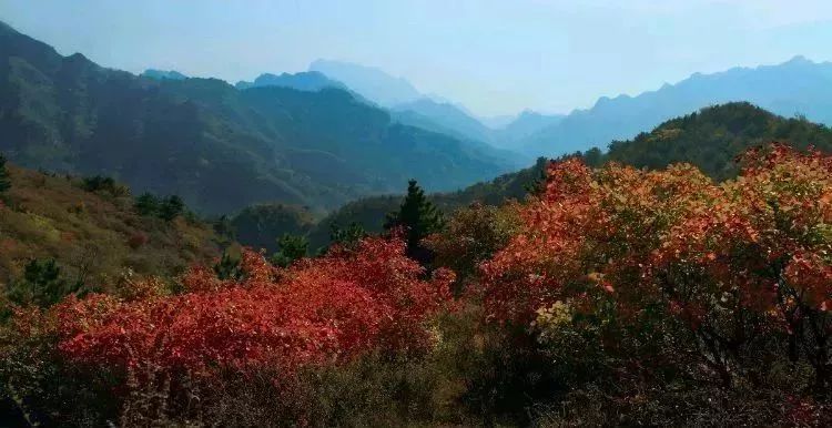 美爆了！让全世界听到，我的名字叫白银！！！