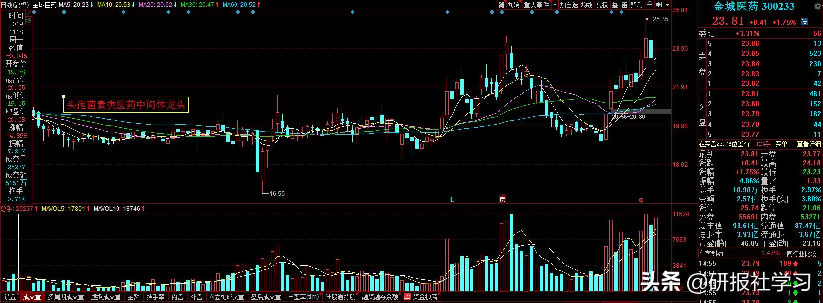 金城医药(300233):头孢谷胱甘肽双料龙头,布局亿级蓝海市场