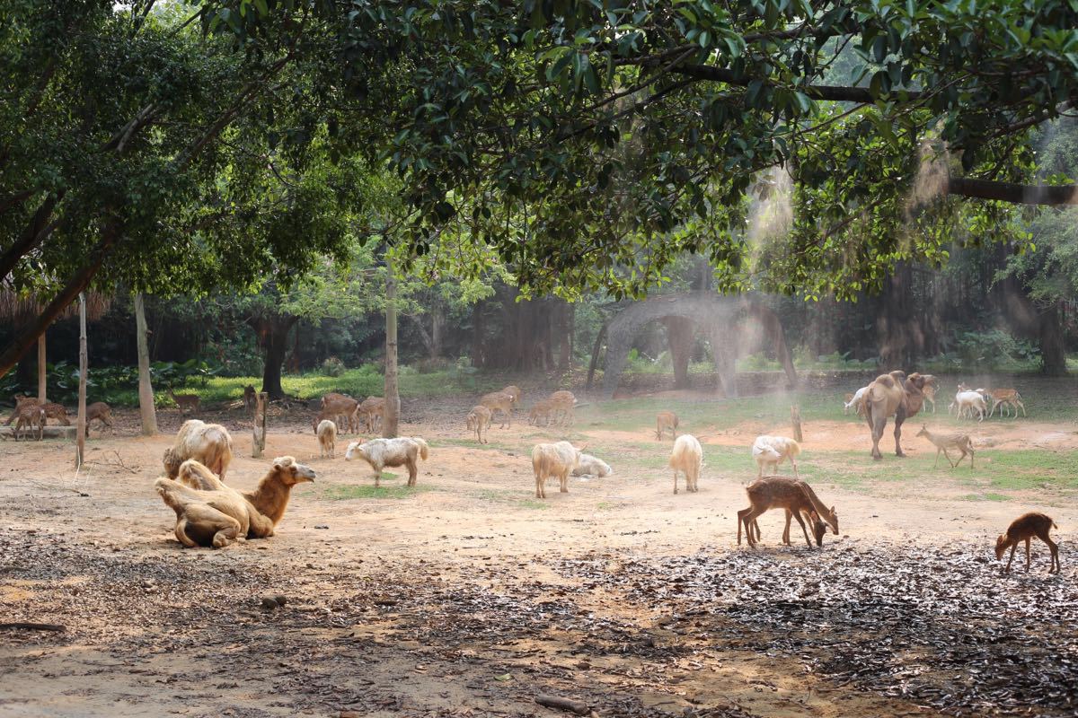 济南野生动物园门票2020年9月,2022年乌鲁木齐野生动物园门票
