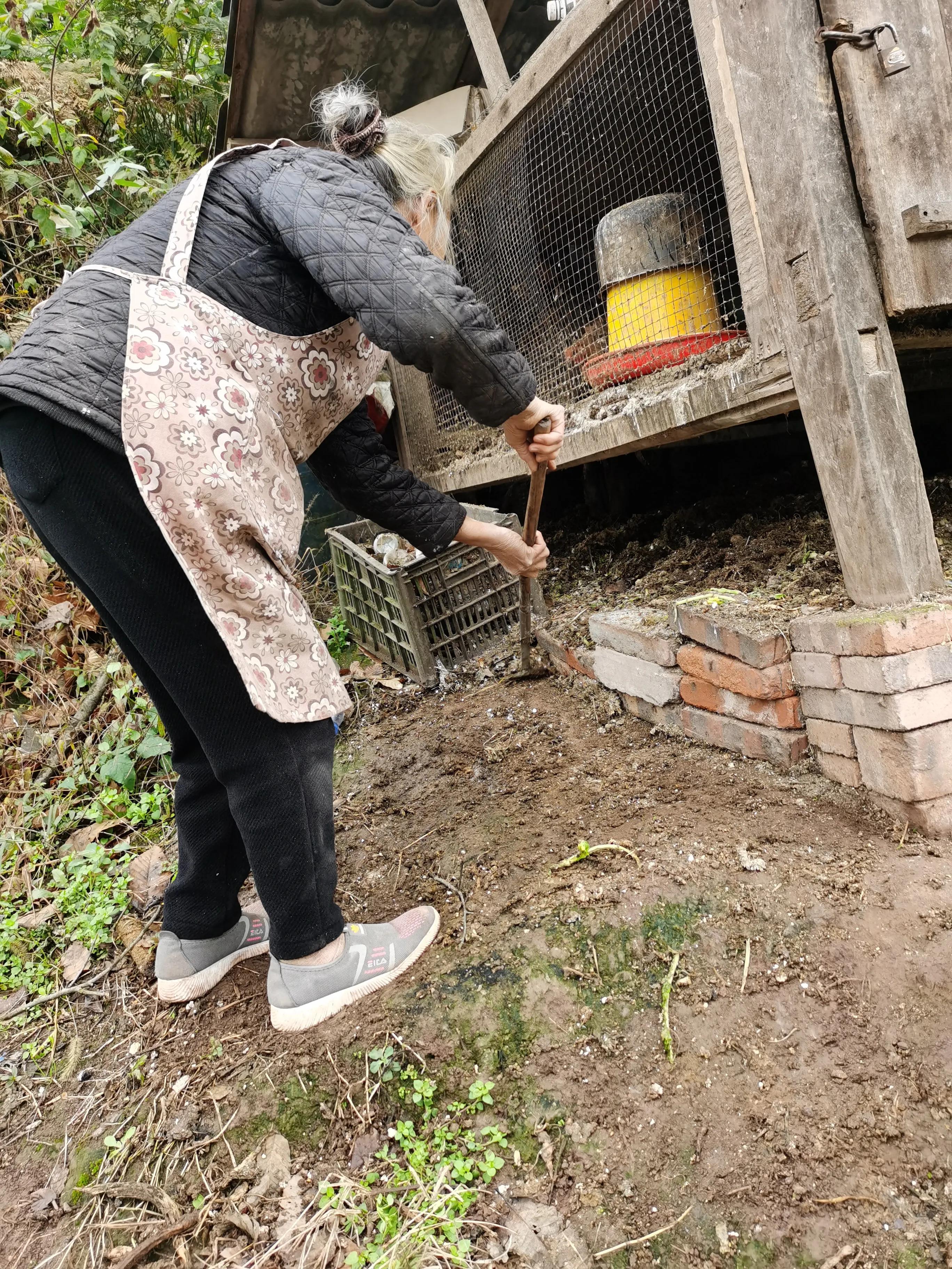 那几只被欺凌至死的母鸡告诉女人：要么抗争，要么堕落