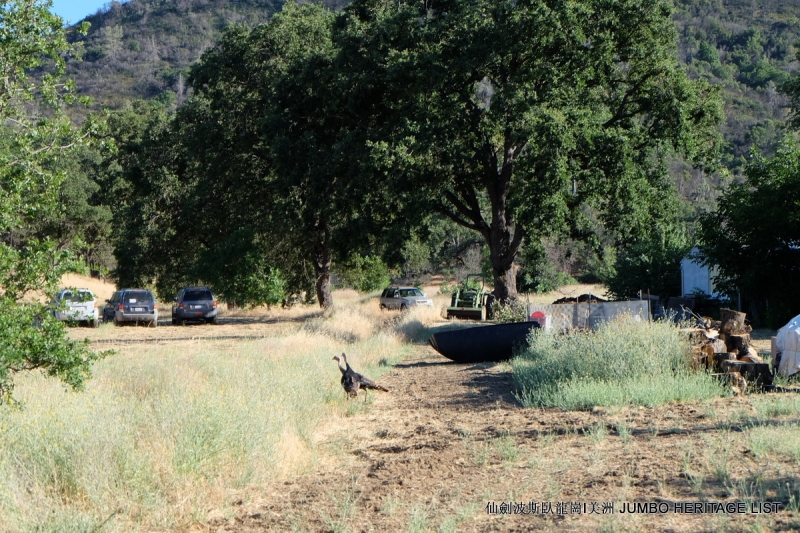 第3045回:人生一世草生一春,来如风雨去似微尘
