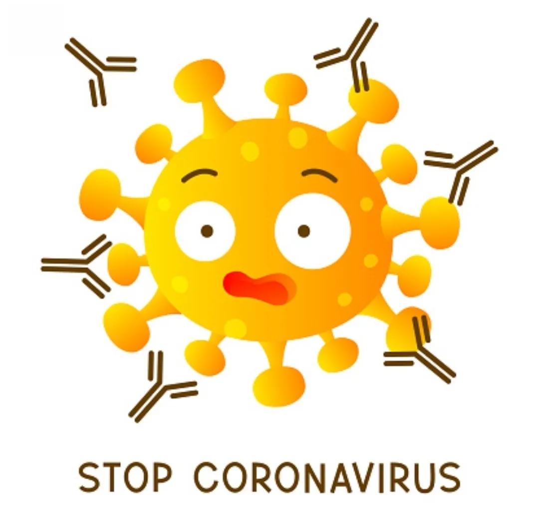 带你了解你的免疫系统（二）-B细胞和抗体介导的免疫应答