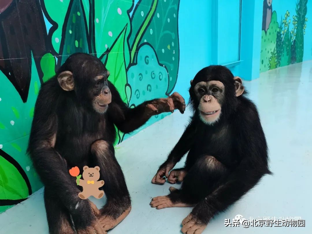 我的“欧慨”找不到啦