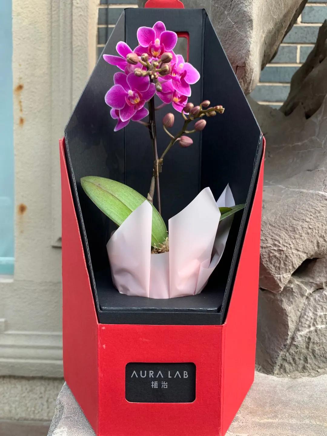 母亲节你过对了吗,你被母亲感恩过吗