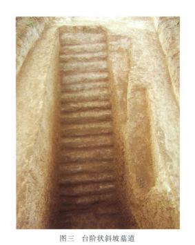 西安盛唐墓葬发掘,西安南郊明墓