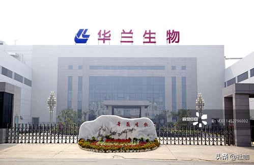 疫苗上市公司有哪些？疫苗上市公司龙头企业一览