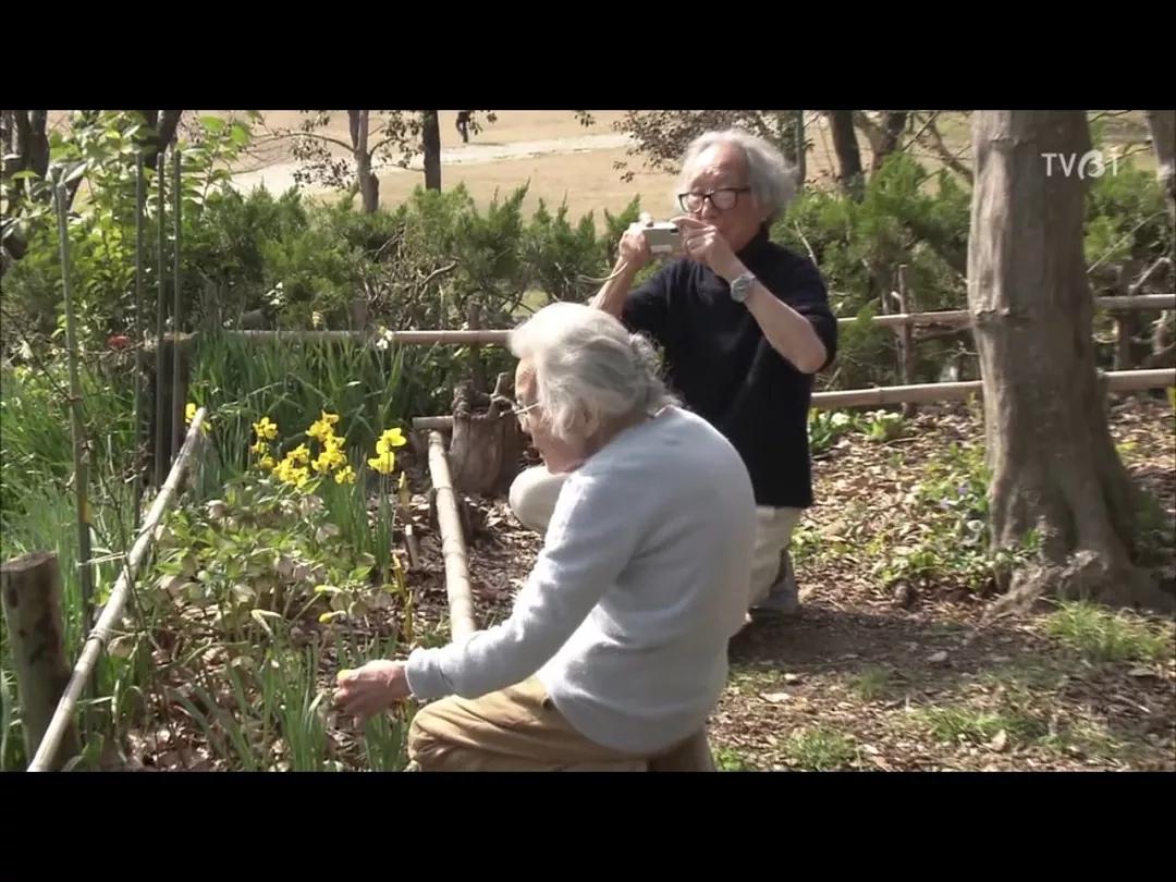 《人生果实》：豆瓣9.6，津端夫妇生活纪录片，告诉我们如何生活