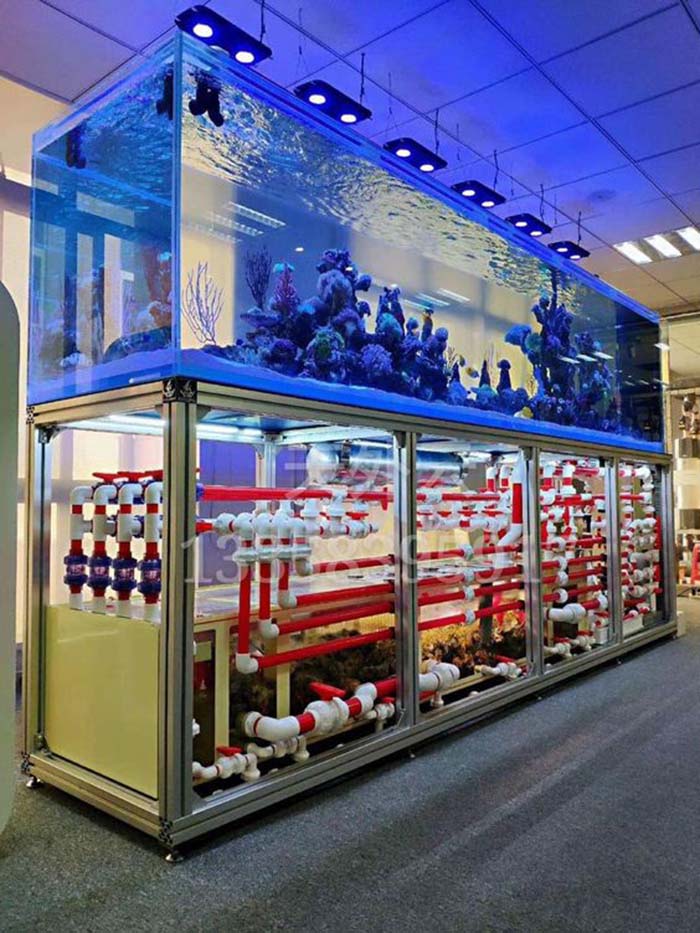 底滤鱼缸适合养哪种观赏鱼,鱼缸自带上过滤鱼缸最佳过滤方法